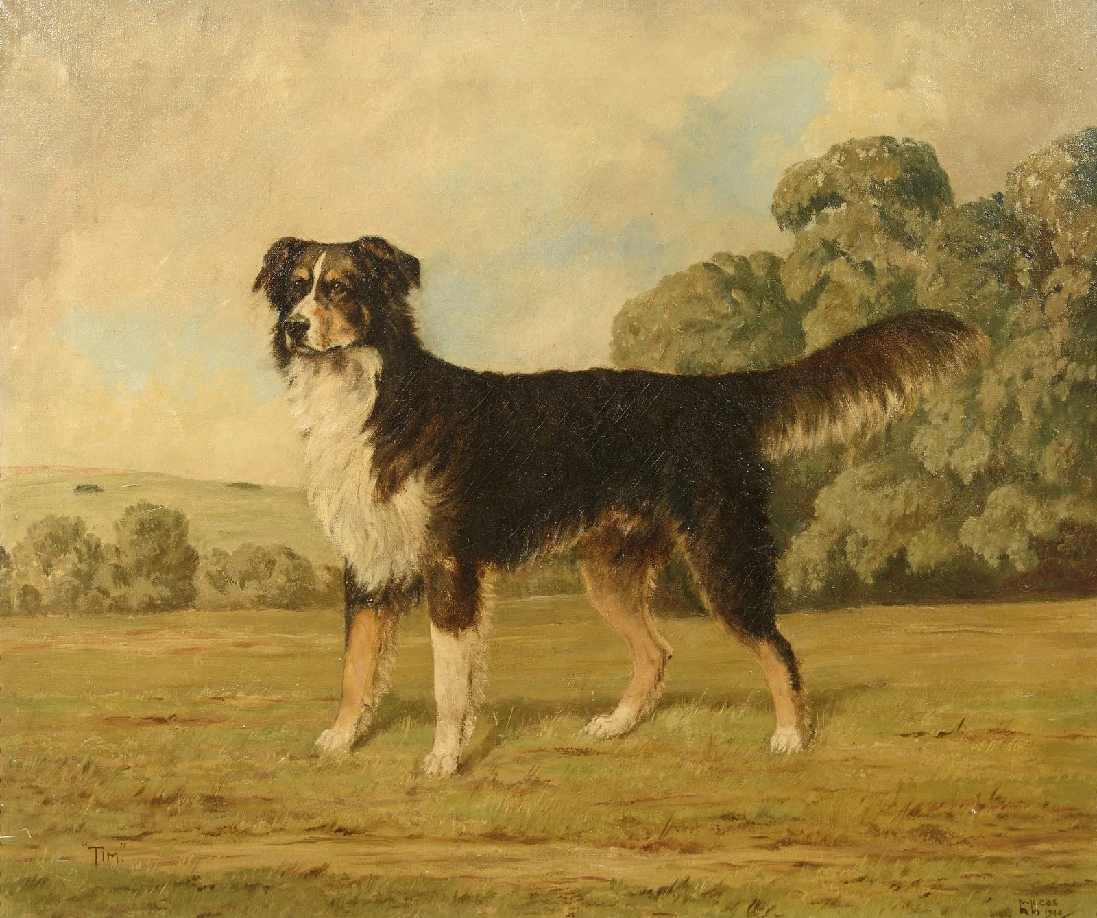 White, Lucas Timothy