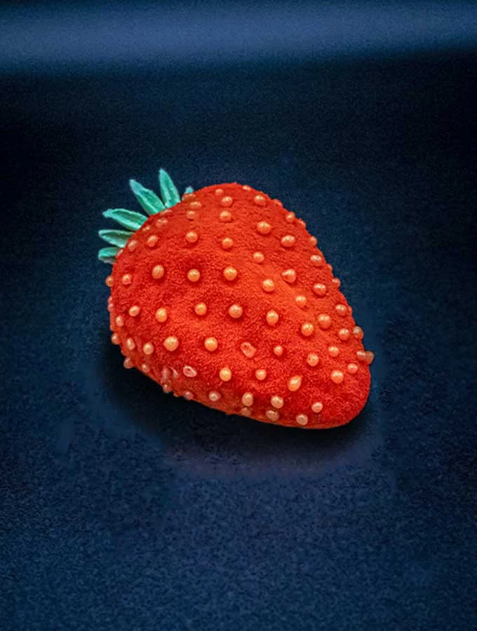 Fraise, David Maurice