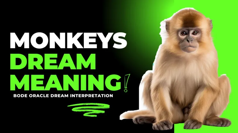 Meaning of Seeing Monkeys in Your Dreams