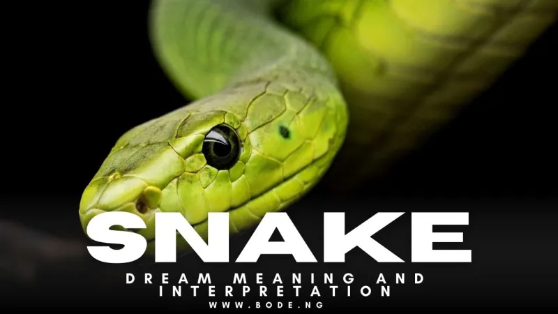 What Snakes in Dreams Really Symbolize